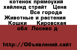 котенок прямоухий  хайленд страйт › Цена ­ 10 000 - Все города Животные и растения » Кошки   . Кировская обл.,Лосево д.